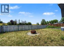 145 Spring Haven Mews Se, Airdrie, AB T4A1A8 Photo 8