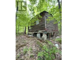 1043 Lawrence Pit Road, Muskoka Lakes, ON P0B1M0 Photo 6