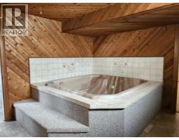 31 Larch Avenue, Drumheller, AB T0J0Y1 Photo 29