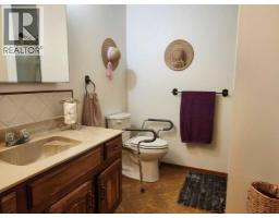 31 Larch Avenue, Drumheller, AB T0J0Y1 Photo 18