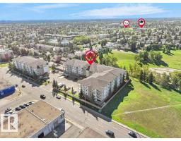 #116 16807 100 Av Nw, Edmonton, AB T5P4Z6 Photo 40