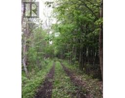 1049 Sandringham Road, Kawartha Lakes, ON K0M2T0 Photo 6