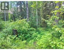 5289 Clearwater Valley Road, Clearwater, BC V0E1N1 Photo 72