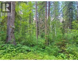 5289 Clearwater Valley Road, Clearwater, BC V0E1N1 Photo 73