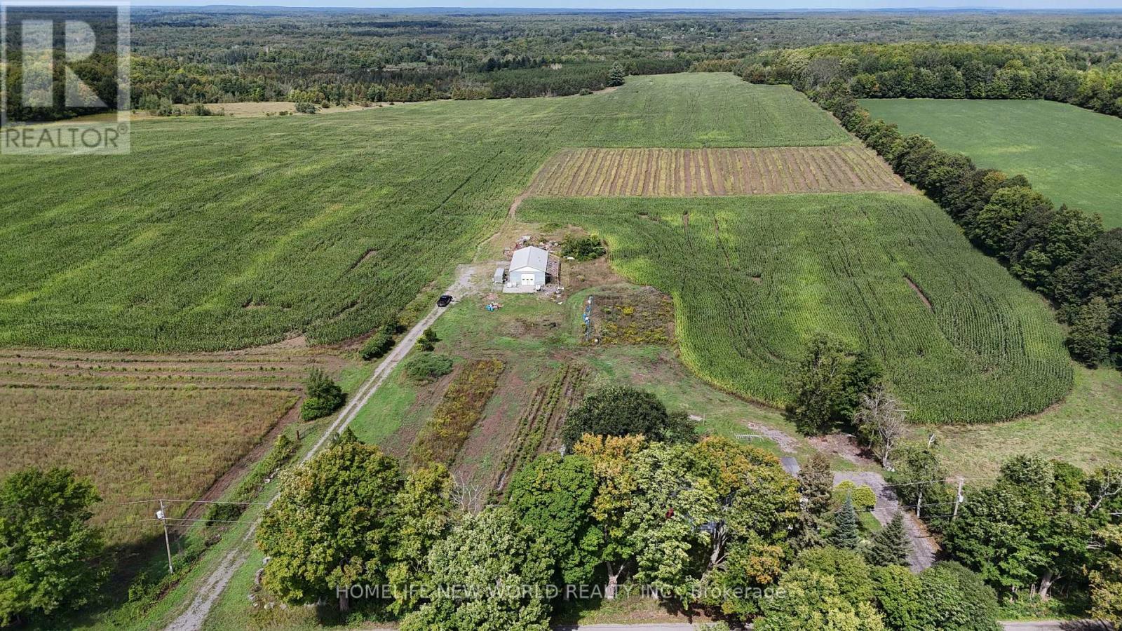 814 THOMASBURG ROAD - Image 33