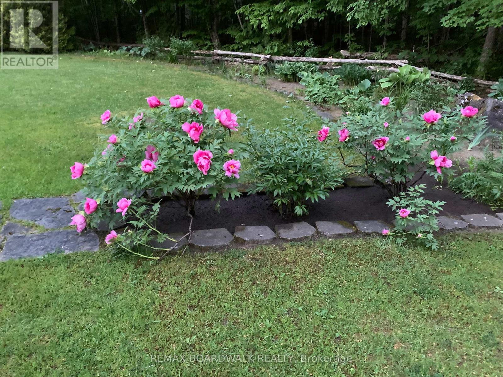 431 GOLDEN LINE ROAD - Image 41