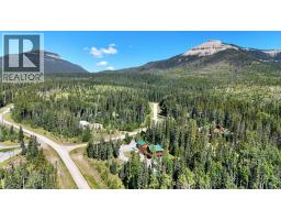 701 Cougar Climb, Nordegg, AB T0M2H0 Photo 49