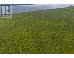 Benhams Road, East Jordan, NS B0T1J0 Photo 13