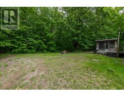 650 Concession 3 Road W, Tiny, ON L0L2T0 Photo 23