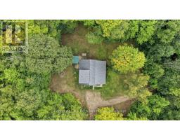 650 Concession 3 Road W, Tiny, ON L0L2T0 Photo 30
