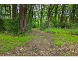 7324 Highway 9 Road S, New Tecumseth, ON L0G1T0 Photo 39