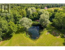 7324 Highway 9 Road S, New Tecumseth, ON L0G1T0 Photo 43
