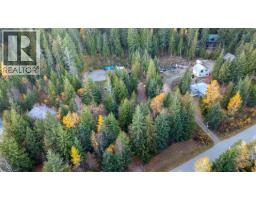 307 Partridge Road, Tappen, BC V1E3A4 Photo 54