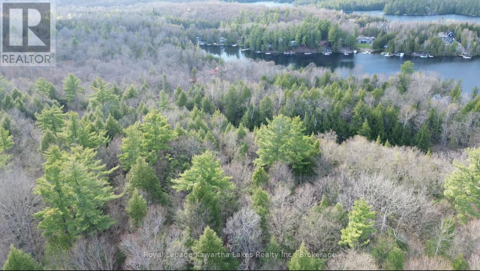 0 CRYSTAL LAKE Road, Trent Lakes, ON photo 19