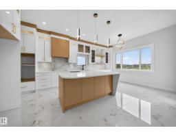 8737 Mayday Lane Sw, Edmonton, AB T6X3E9 Photo 19