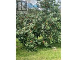 9859 Highway 64, Lavigne, ON P0H1R0 Photo 20