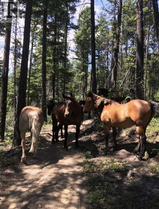 2350 Gun Creek Road - 25