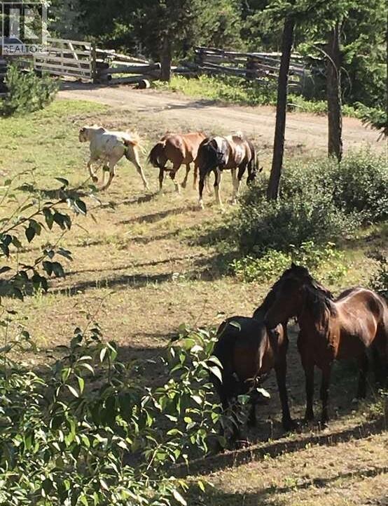 2350 Gun Creek Road - 26
