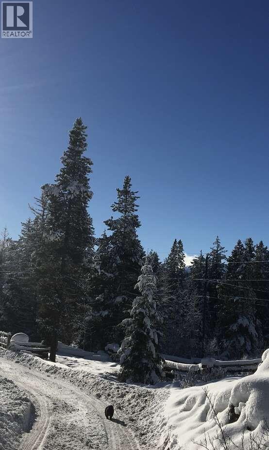 2350 Gun Creek Road - 29