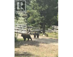 2350 Gun Creek Road, Lillooet, BC V0K1P0 Photo 24