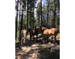 2350 Gun Creek Road, Lillooet, BC V0K1P0 Photo 25