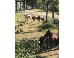 2350 Gun Creek Road, Lillooet, BC V0K1P0 Photo 26