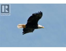 3230 Huntington Pl, Nanoose Bay, BC V9P9H6 Photo 40