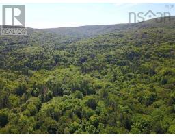 5907 395 Highway, South West Margaree, NS B0E3H0 Photo 21