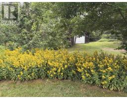 Den - 3512 East Big Intervale Rd., Margaree Valley, Margaree Valley, NS B0E2C0 Photo 8