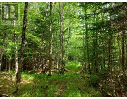 Lot 76 Peter Sosna Dr., Hay Cove, NS B0E3B0 Photo 9
