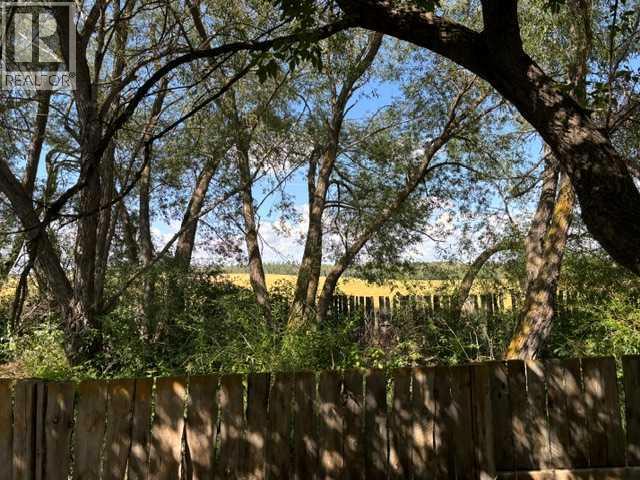 Field to the North
