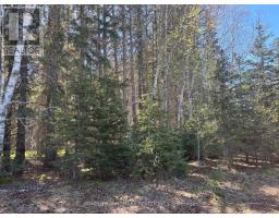 9 Ski Hill Road, Kapuskasing, ON P0L1V0 Photo 17