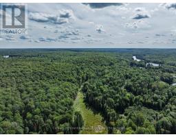 1241 Koshlong Lake Road, Dysart Et Al, ON K0M1S0 Photo 22