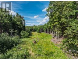 1241 Koshlong Lake Road, Dysart Et Al, ON K0M1S0 Photo 23
