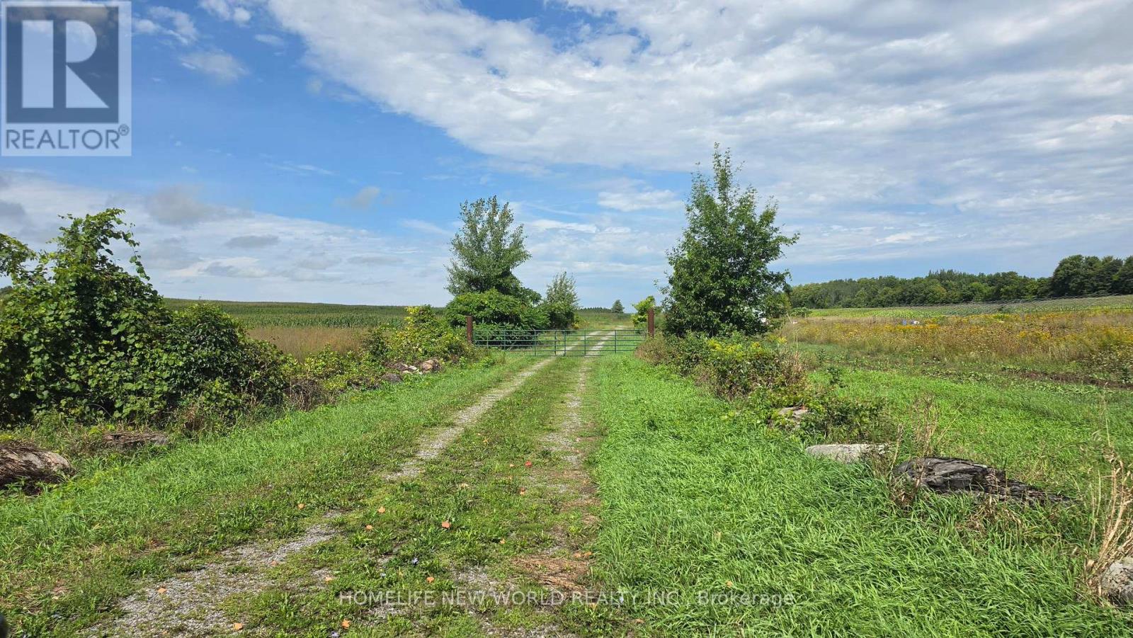 814 Thomasburg Road — photo 28