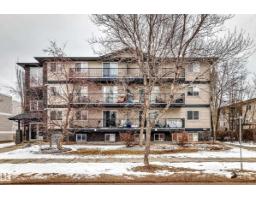 #203 11827 105 St Nw, Edmonton, AB T5G2N1 Photo 23