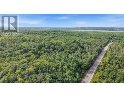 4896 Penetanguishene Road, Springwater, ON L0L1V0 Photo 8