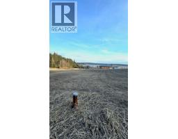 Lot F Ross Road, Bridge Lake, BC V0K1X2 Photo 6