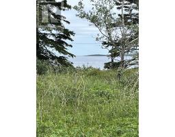 101 Seal Harbour Road, Seal Harbour, NS B0H1L0 Photo 26