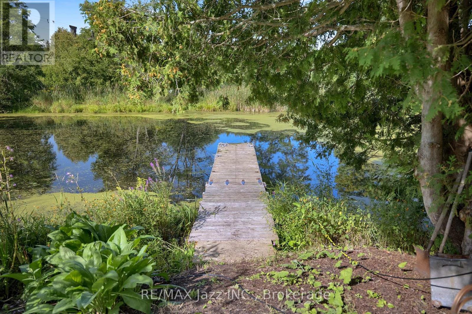 8183 TINKERVILLE ROAD - Image 46