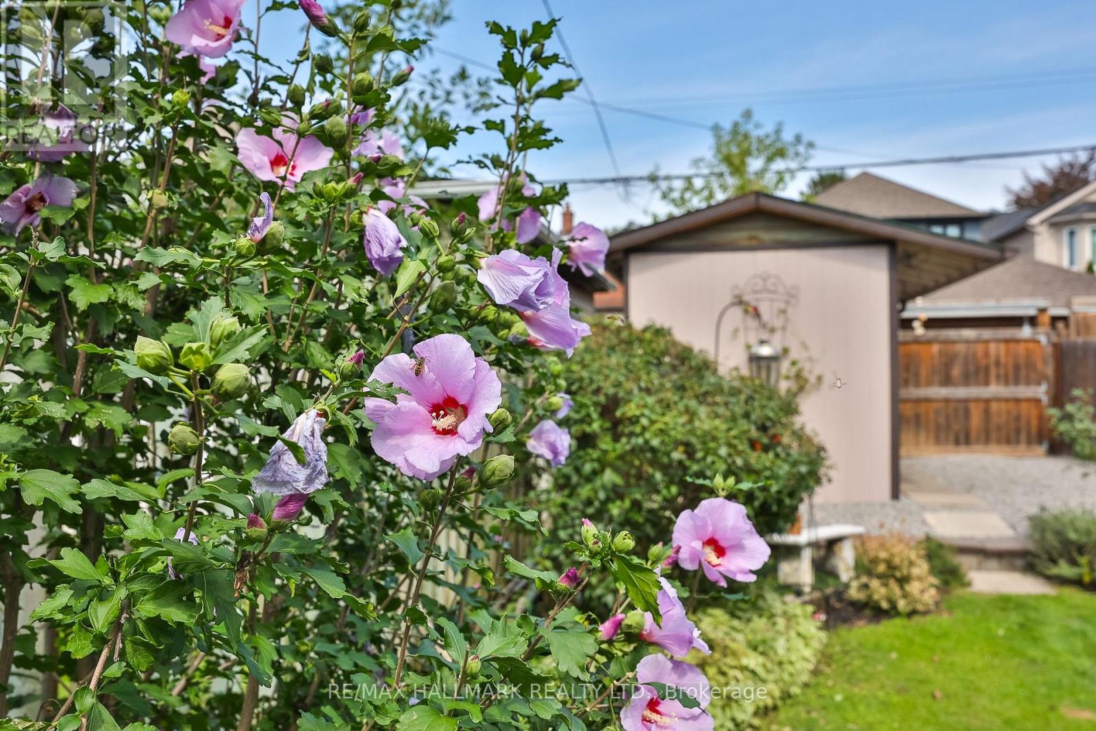 278 WOBURN AVENUE - Image 37