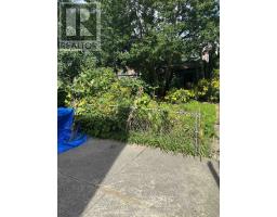 51 Perth Avenue, Toronto, ON M6R2C1 Photo 31