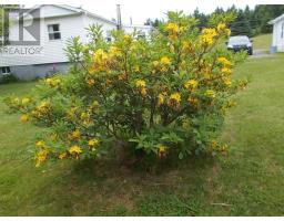 5419 Highway 344, Sand Point, NS B0E2G0 Photo 40