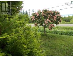 5419 Highway 344, Sand Point, NS B0E2G0 Photo 44