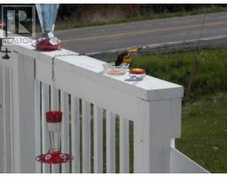 5419 Highway 344, Sand Point, NS B0E2G0 Photo 33
