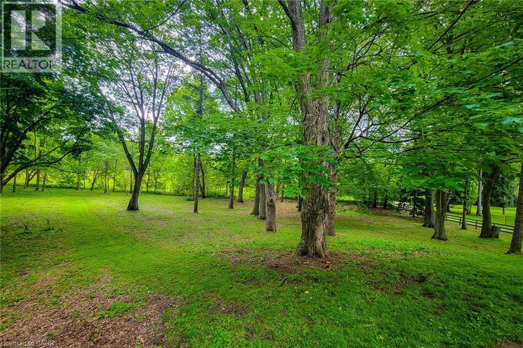 311 GOLF LINKS Road - 22