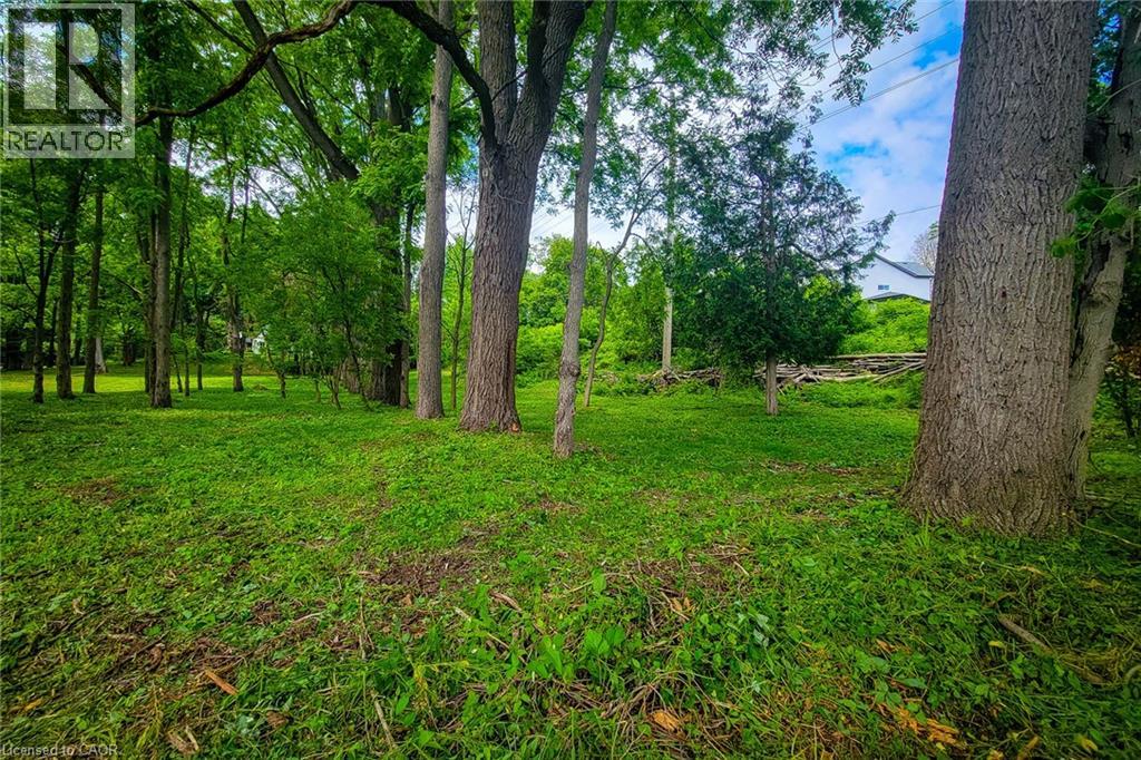 311 GOLF LINKS Road - 20