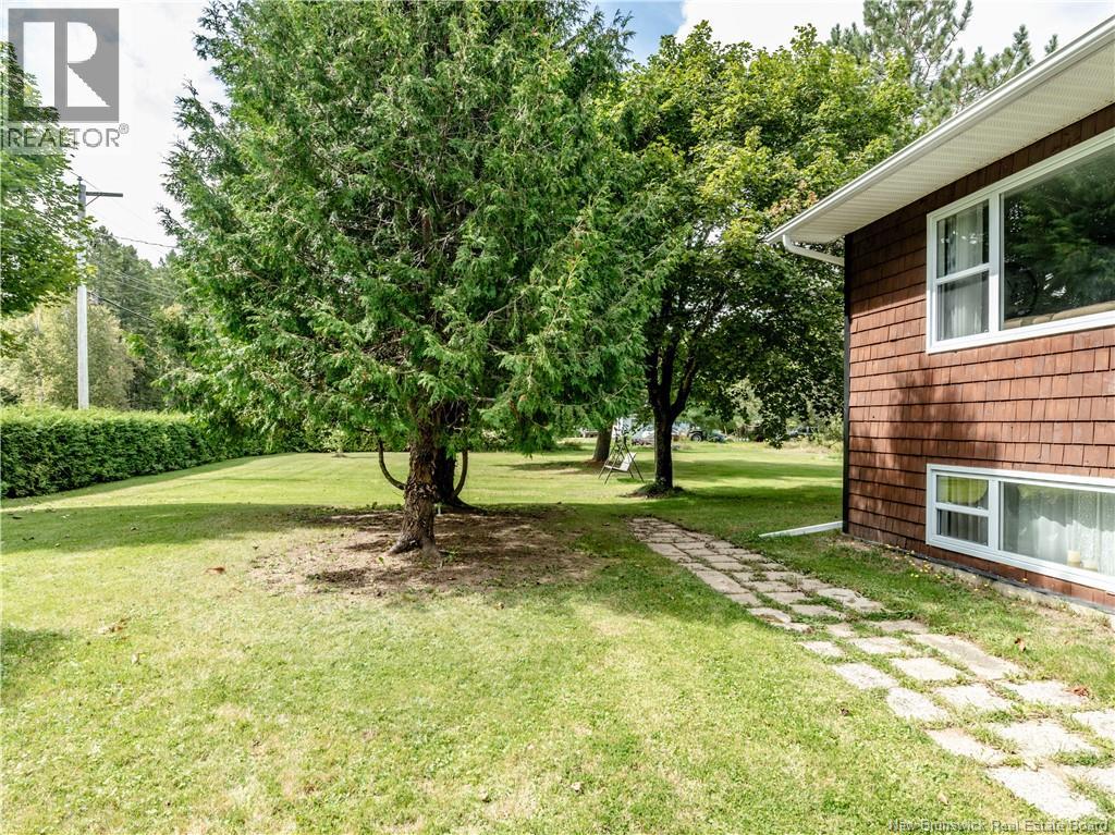 440 Pleasant Ridge, Rogersville — photo 3