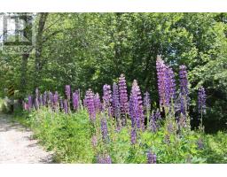 4184 203 Highway, Middle Ohio, NS B0T1W0 Photo 31