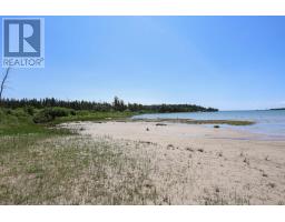 1371 Sailors Encampment Dr, Richards Landing, ON P0R1J0 Photo 40
